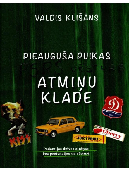 Pieauguša puikas atmiņu klade