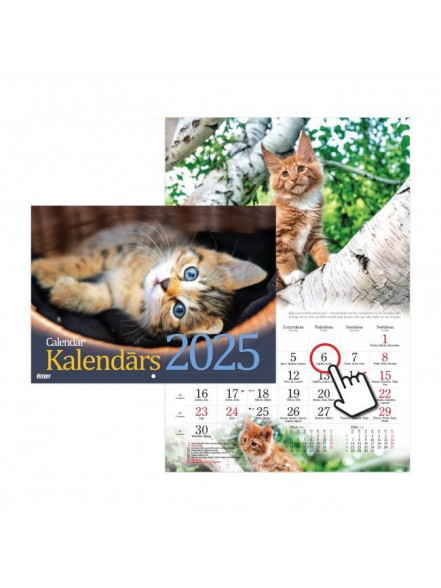 K/2025 Kalendārs Kaķu