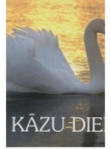 Kāzu dienā