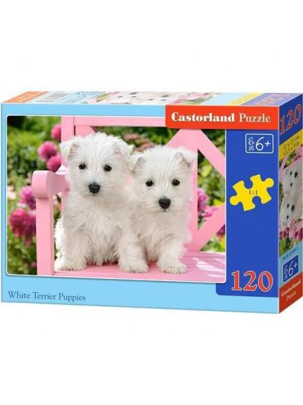 Puzzle Castorland 120 (32*23)