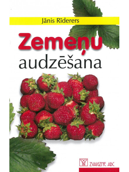 Zemeņu audzēšana